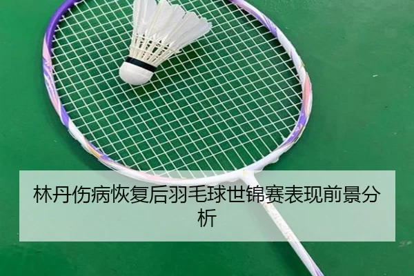 林丹伤病恢复后羽毛球世锦赛表现前景分析